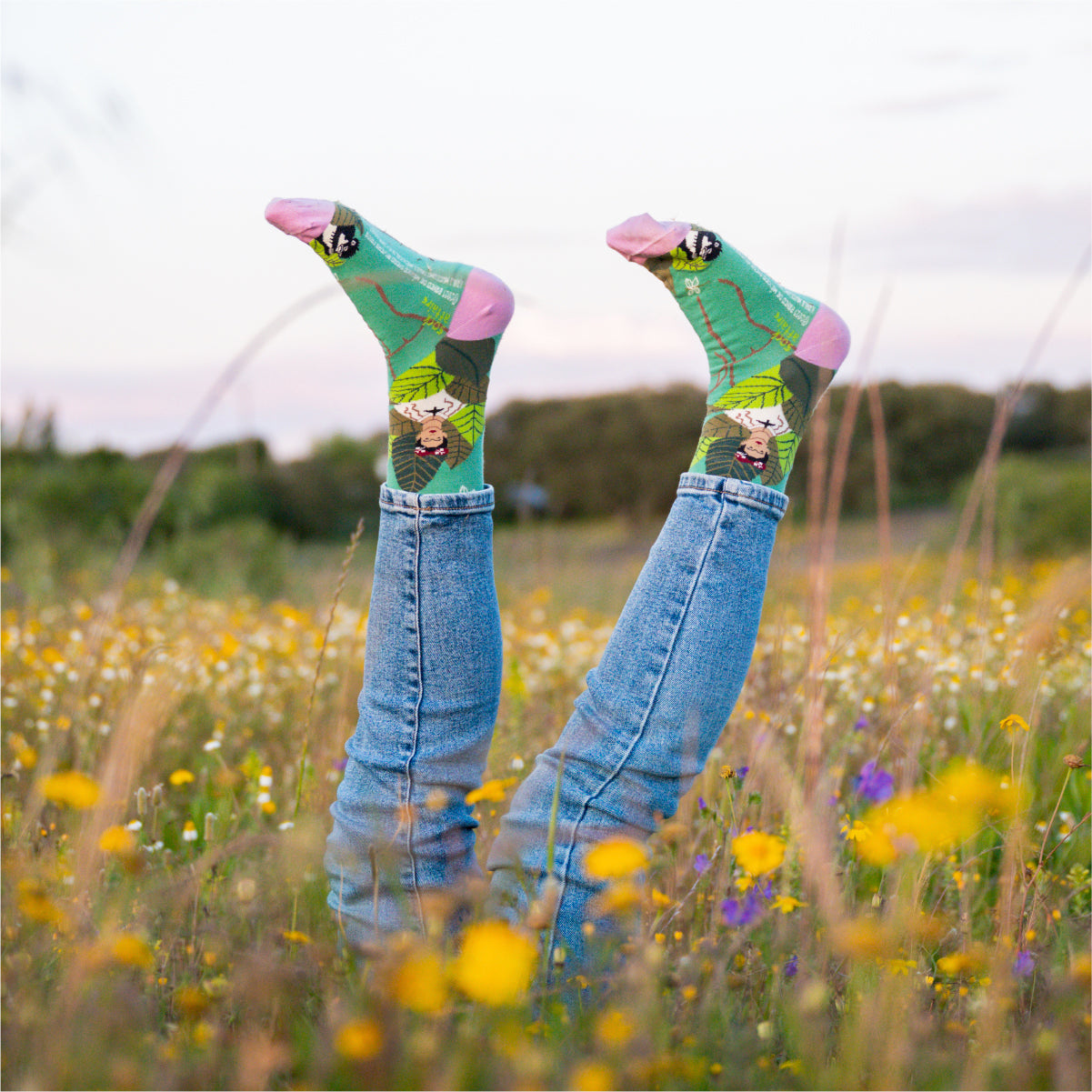 Socks